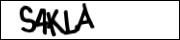 CAPTCHA